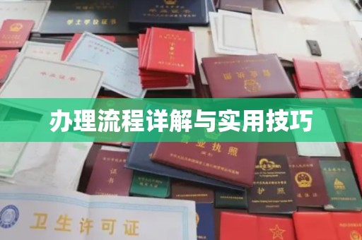 关岭办理流程详解与实用技巧